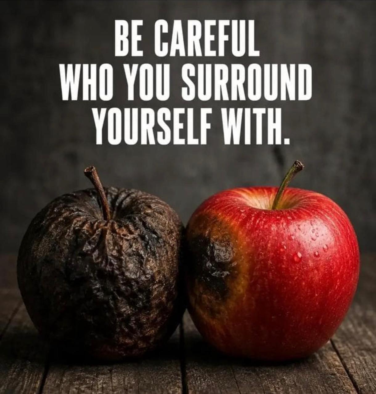 A quotation above a fresh red apple beside a decaying apple.